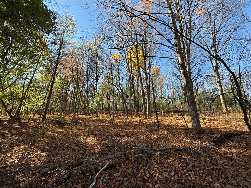 Willowdale Drive, Macedon, New York 14502, Macedon, New York 14502, ,Land,For Sale,Willowdale Drive, Macedon, New York 14502,0,R1649271