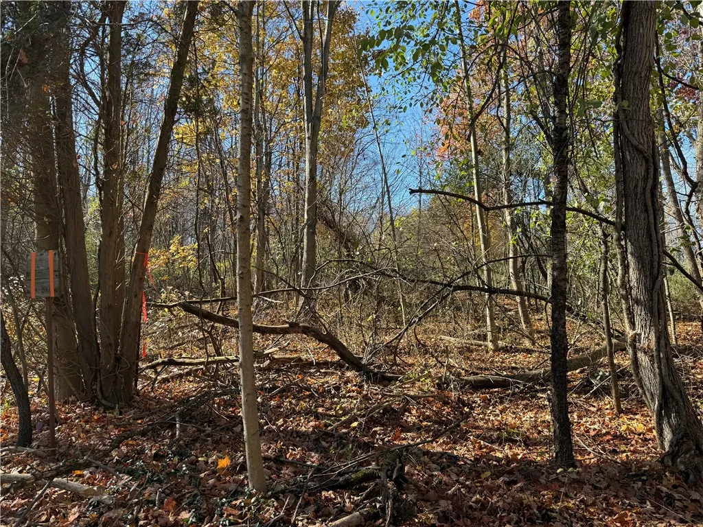 Willowdale Drive, Macedon, New York 14502, Macedon, New York 14502, ,Land,For Sale,Willowdale Drive, Macedon, New York 14502,0,R1649271