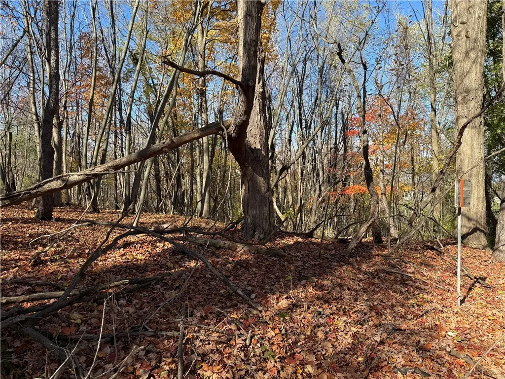 Willowdale Drive, Macedon, New York 14502, Macedon, New York 14502, ,Land,For Sale,Willowdale Drive, Macedon, New York 14502,0,R1649271