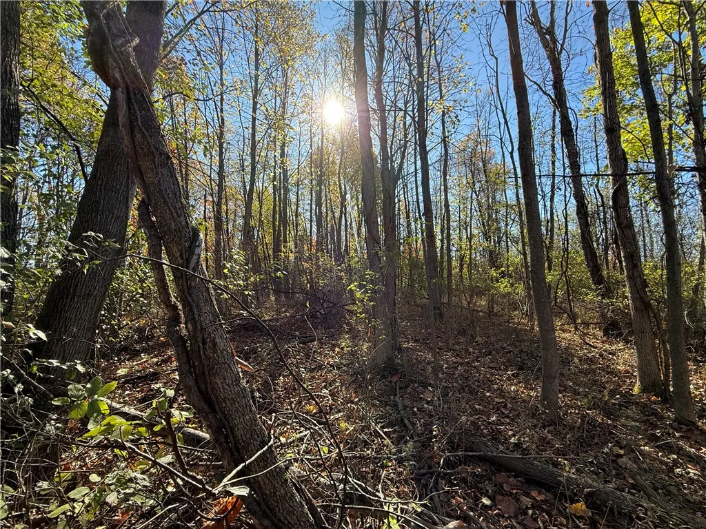 Willowdale Drive, Macedon, New York 14502, Macedon, New York 14502, ,Land,For Sale,Willowdale Drive, Macedon, New York 14502,0,R1649271