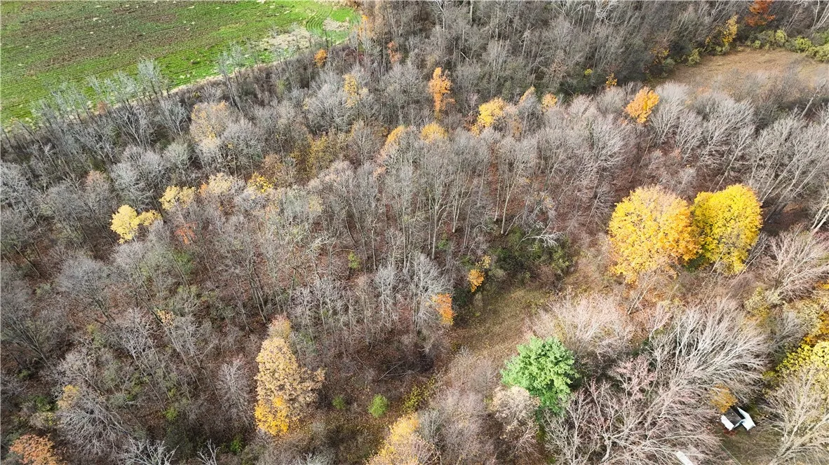 Willowdale Drive, Macedon, New York 14502, Macedon, New York 14502, ,Land,For Sale,Willowdale Drive, Macedon, New York 14502,0,R1649271