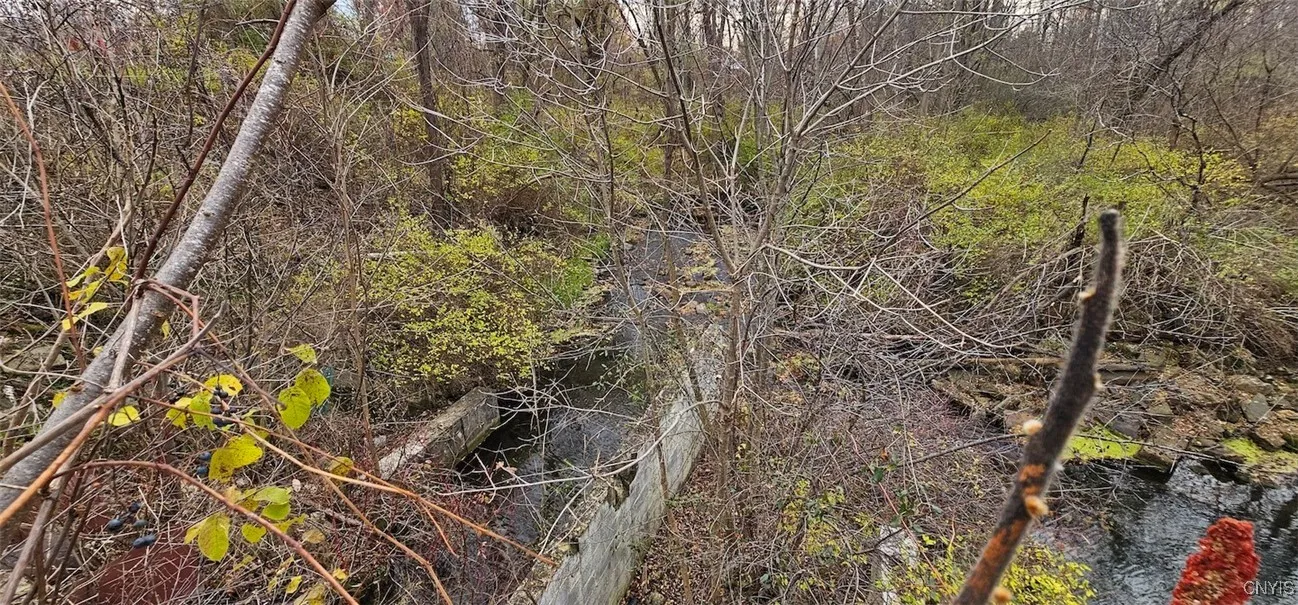 3636 Mill Street, Tyrone, New York 14870, Tyrone, New York 14870, ,Land,For Sale,3636 Mill Street, Tyrone, New York 14870,0,S1649849