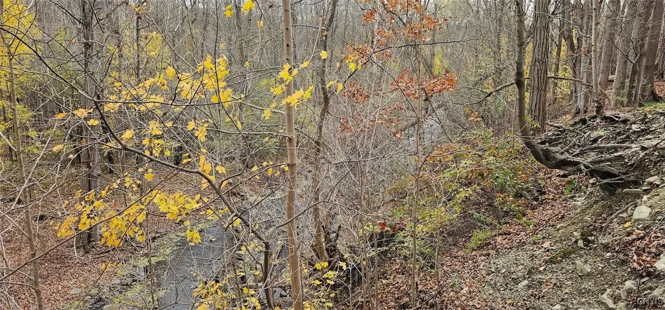 3636 Mill Street, Tyrone, New York 14870, Tyrone, New York 14870, ,Land,For Sale,3636 Mill Street, Tyrone, New York 14870,0,S1649849