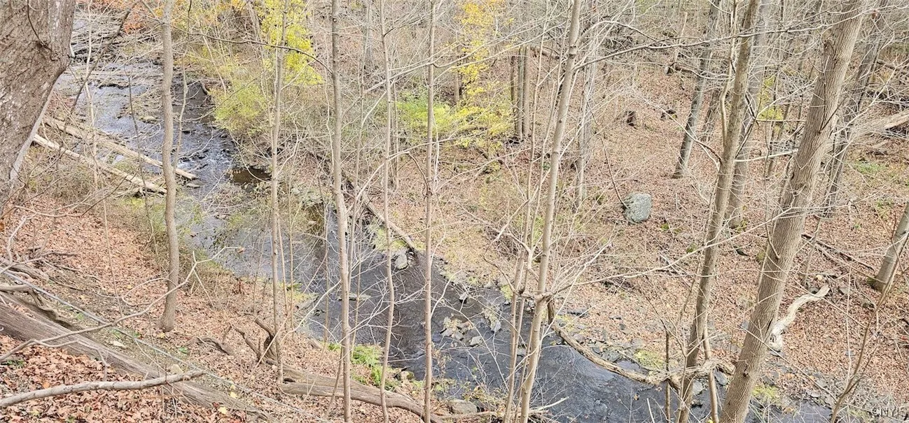 3636 Mill Street, Tyrone, New York 14870, Tyrone, New York 14870, ,Land,For Sale,3636 Mill Street, Tyrone, New York 14870,0,S1649849