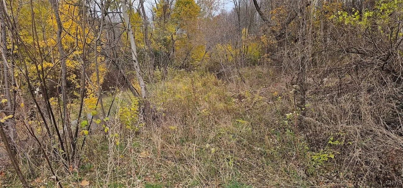 3636 Mill Street, Tyrone, New York 14870, Tyrone, New York 14870, ,Land,For Sale,3636 Mill Street, Tyrone, New York 14870,0,S1649849