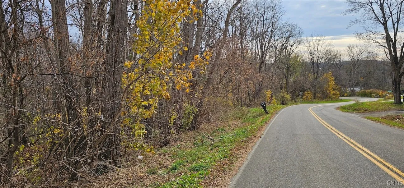 3636 Mill Street, Tyrone, New York 14870, Tyrone, New York 14870, ,Land,For Sale,3636 Mill Street, Tyrone, New York 14870,0,S1649849