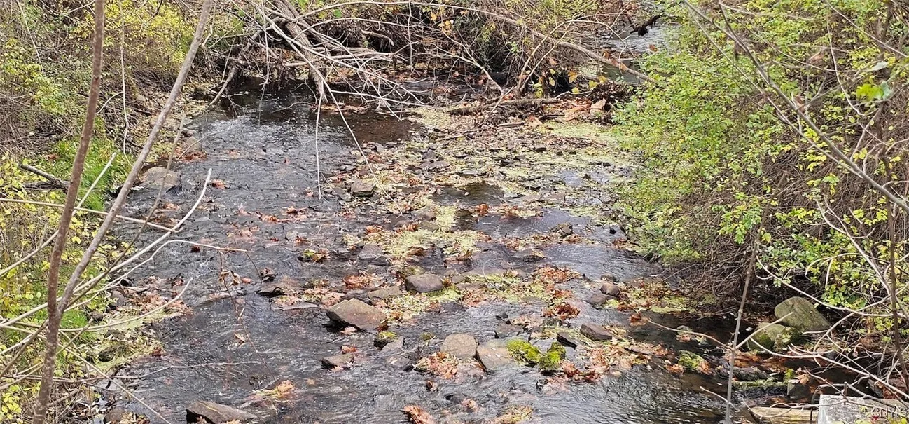 3636 Mill Street, Tyrone, New York 14870, Tyrone, New York 14870, ,Land,For Sale,3636 Mill Street, Tyrone, New York 14870,0,S1649849