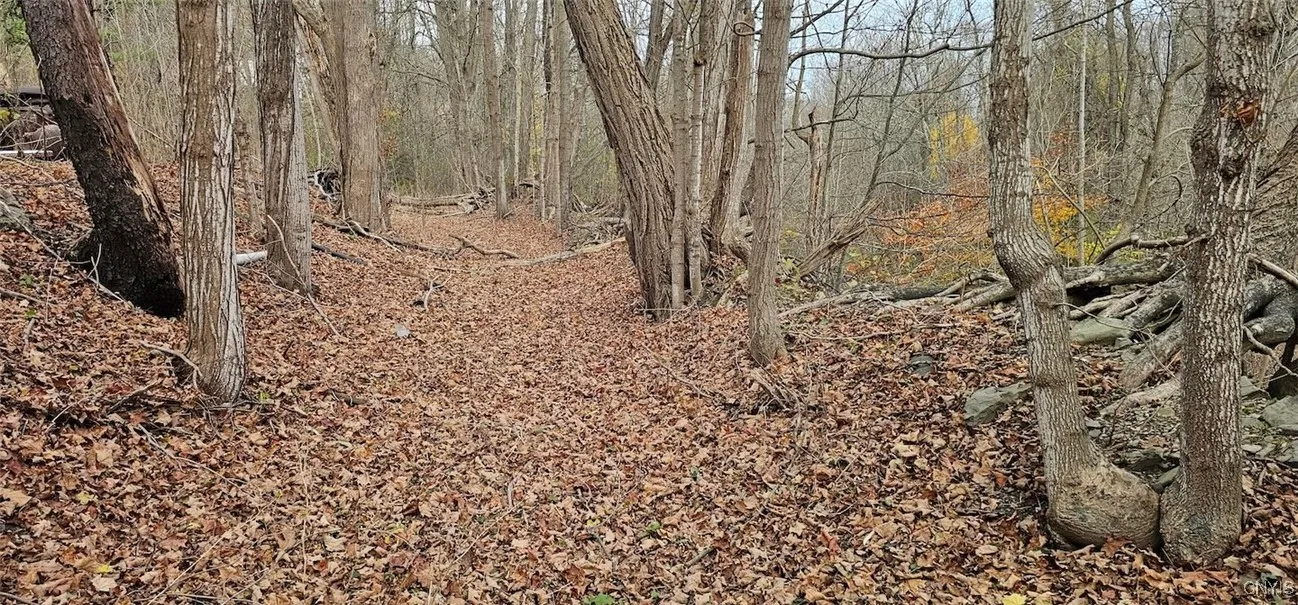 3636 Mill Street, Tyrone, New York 14870, Tyrone, New York 14870, ,Land,For Sale,3636 Mill Street, Tyrone, New York 14870,0,S1649849