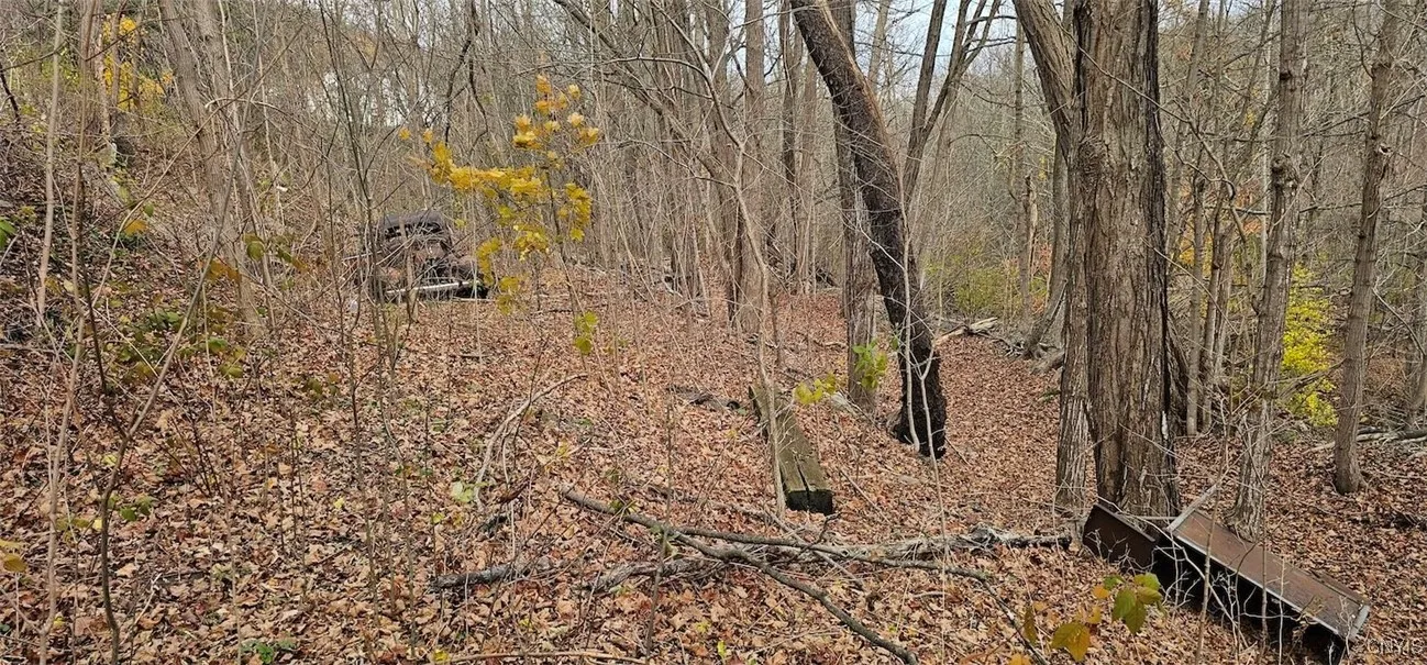 3636 Mill Street, Tyrone, New York 14870, Tyrone, New York 14870, ,Land,For Sale,3636 Mill Street, Tyrone, New York 14870,0,S1649849