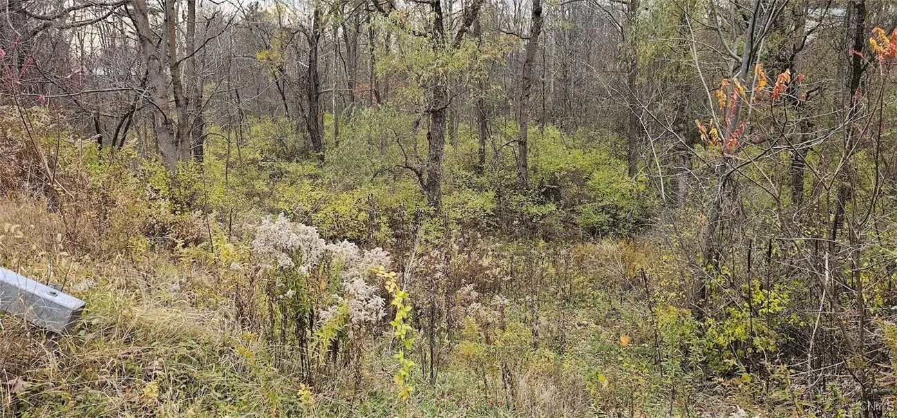 3636 Mill Street, Tyrone, New York 14870, Tyrone, New York 14870, ,Land,For Sale,3636 Mill Street, Tyrone, New York 14870,0,S1649849