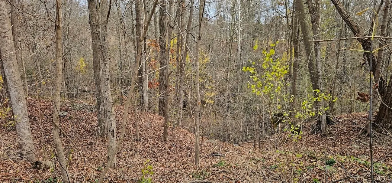 3636 Mill Street, Tyrone, New York 14870, Tyrone, New York 14870, ,Land,For Sale,3636 Mill Street, Tyrone, New York 14870,0,S1649849