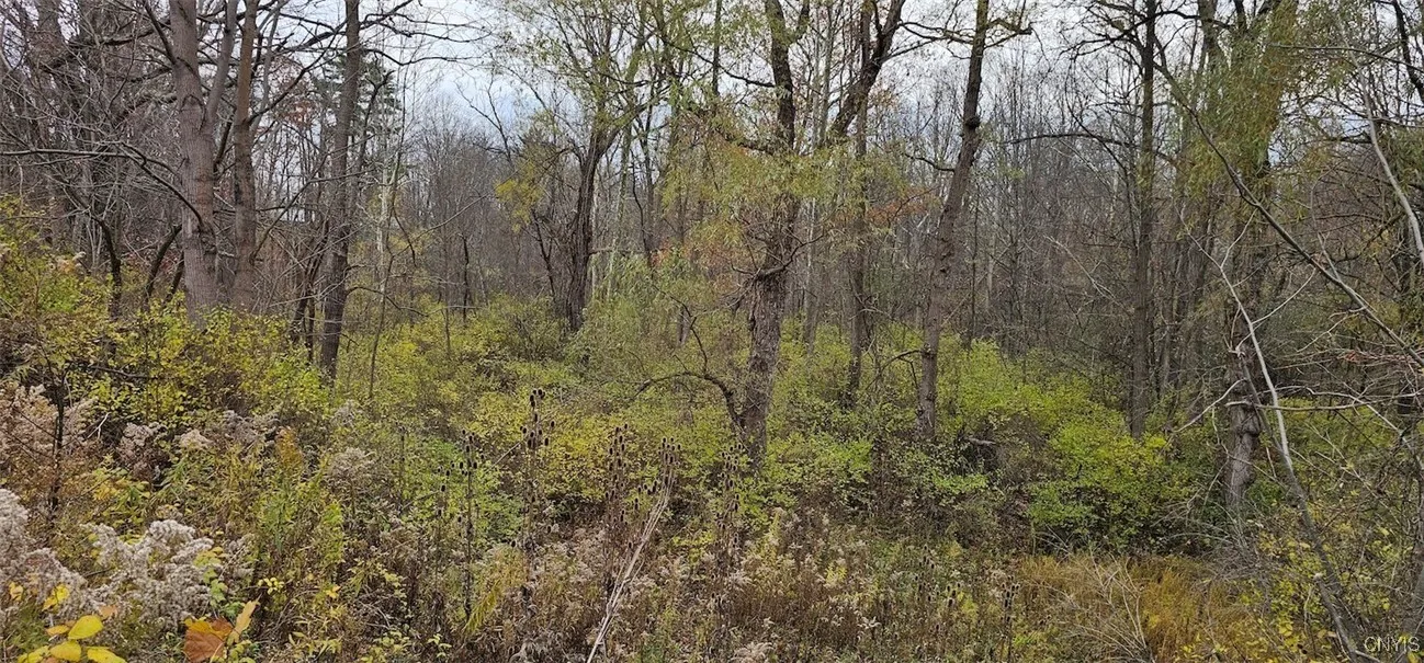 3636 Mill Street, Tyrone, New York 14870, Tyrone, New York 14870, ,Land,For Sale,3636 Mill Street, Tyrone, New York 14870,0,S1649849