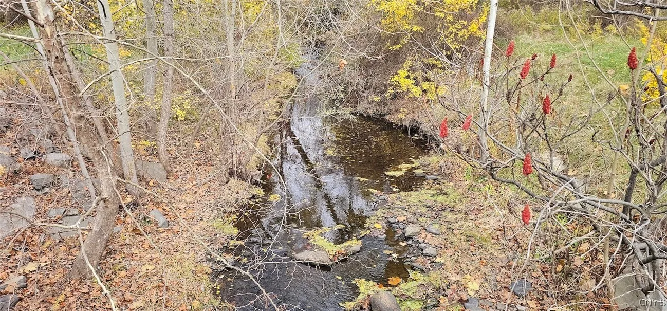 3636 Mill Street, Tyrone, New York 14870, Tyrone, New York 14870, ,Land,For Sale,3636 Mill Street, Tyrone, New York 14870,0,S1649849