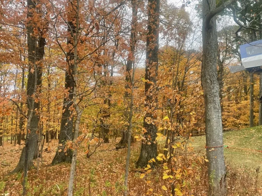 6449 Co Rd 21, Naples, New York 14512, Naples, New York 14512, ,Commercial Sale,For Sale,6449 Co Rd 21, Naples, New York 14512,0,R1649858