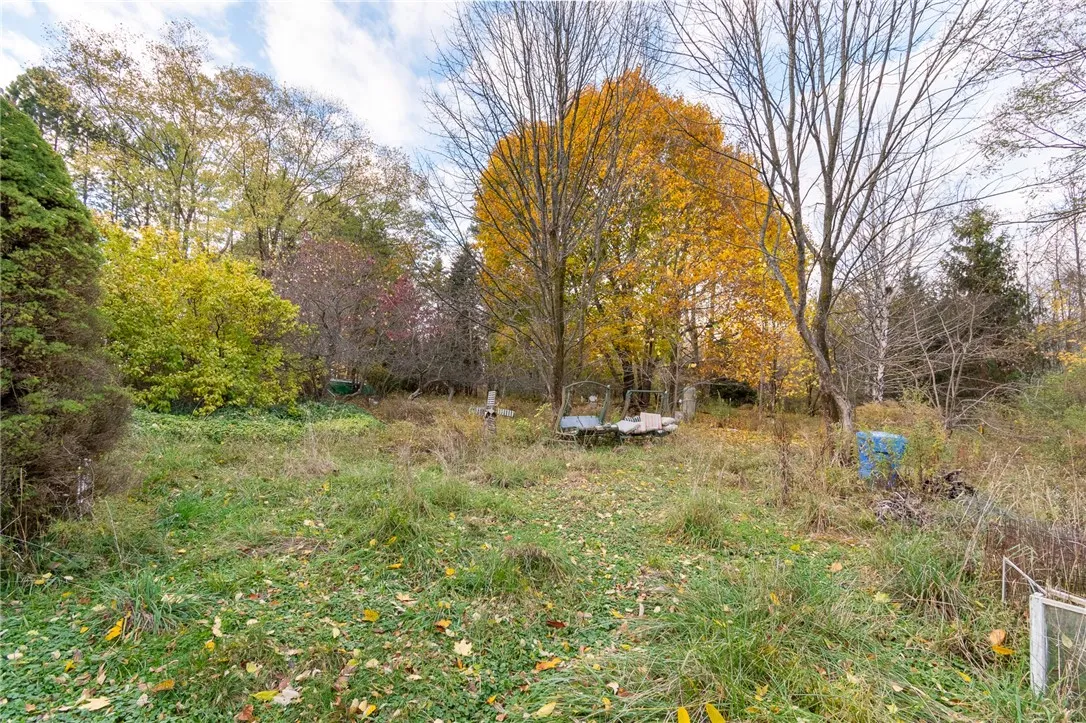 Great yard! Lots of room to roam!