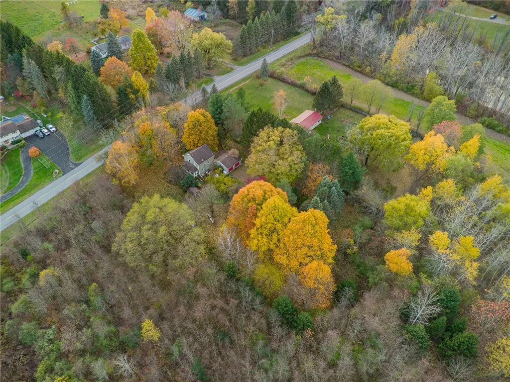 A view of the wooded lot