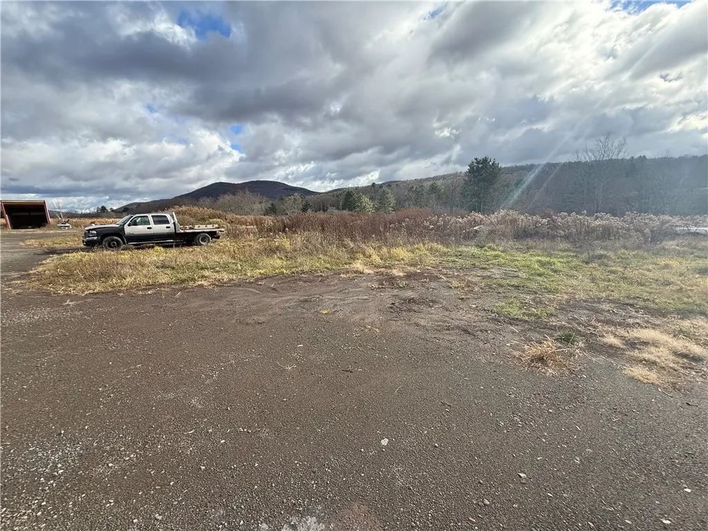 62166 Rt-10, Harpersfield, New York 13788, Harpersfield, New York 13788, ,Land,For Sale,62166 Rt-10, Harpersfield, New York 13788,0,R1649759