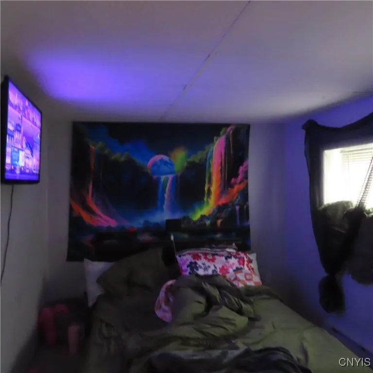 53 East Seneca Street, Oswego, New York 13126, Oswego, New York 13126, 6 Bedrooms Bedrooms, ,Multi Family,For Sale,53 East Seneca Street, Oswego, New York 13126,0,S1649237