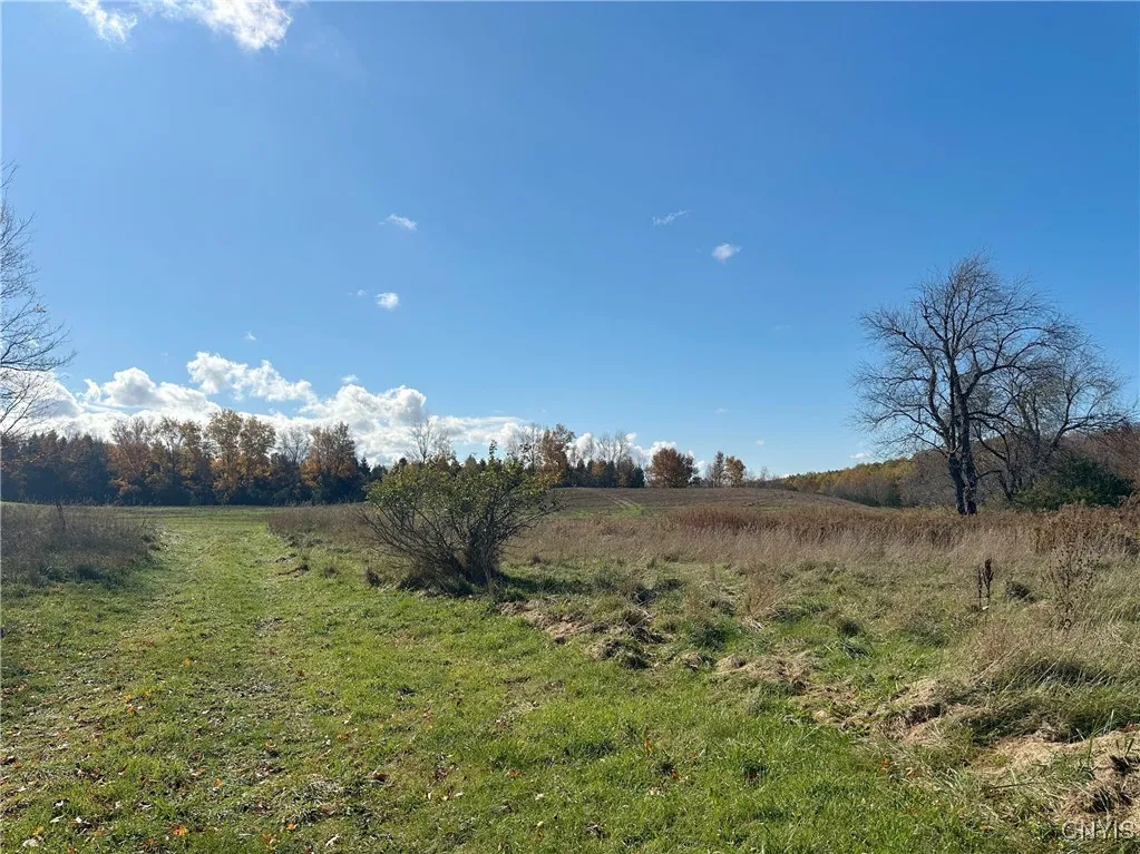 14445 Fuller Road, Adams, New York 13606, Adams, New York 13606, 6 Bedrooms Bedrooms, 15 Rooms Rooms,3 BathroomsBathrooms,Residential,For Sale,14445 Fuller Road, Adams, New York 13606,0,S1649938