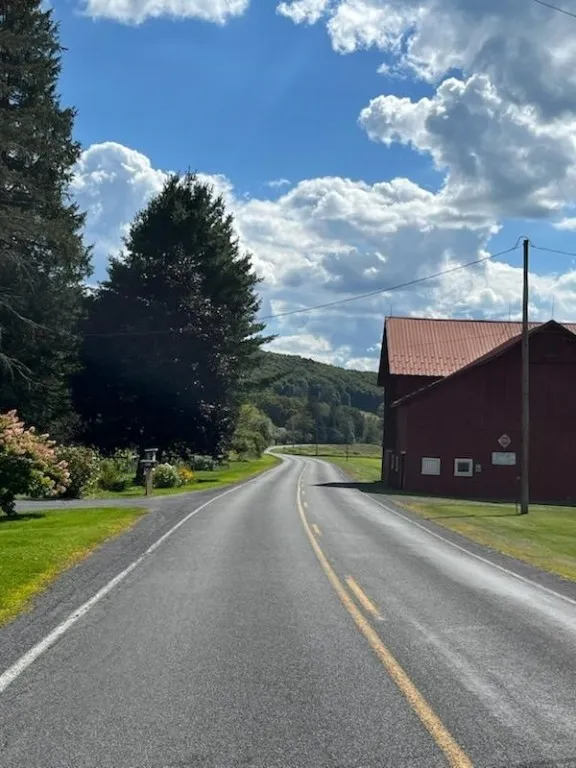 4088 County Highway 22, Walton, New York 13856, Walton, New York 13856, 4 Bedrooms Bedrooms, 9 Rooms Rooms,2 BathroomsBathrooms,Residential,For Sale,4088 County Highway 22, Walton, New York 13856,0,R1649945