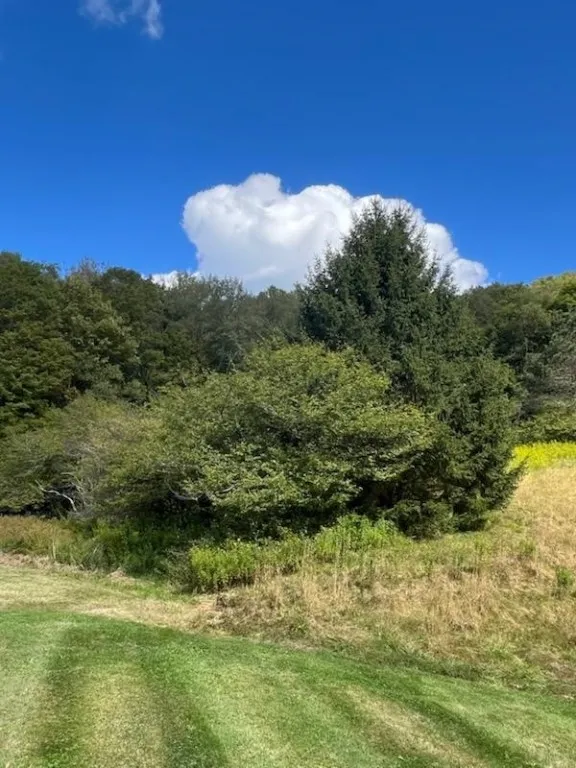 4088 County Highway 22, Walton, New York 13856, Walton, New York 13856, 4 Bedrooms Bedrooms, 9 Rooms Rooms,2 BathroomsBathrooms,Residential,For Sale,4088 County Highway 22, Walton, New York 13856,0,R1649945