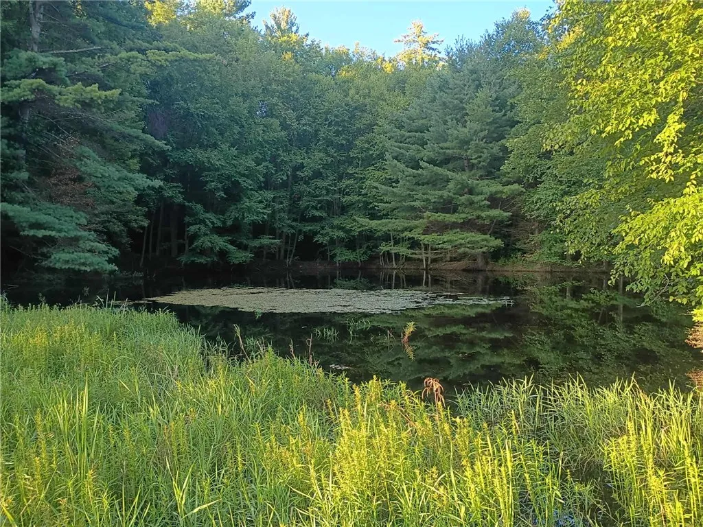 194 Newton Town Road, Bainbridge, New York 13733, Bainbridge, New York 13733, 3 Bedrooms Bedrooms, 8 Rooms Rooms,2 BathroomsBathrooms,Residential,For Sale,194 Newton Town Road, Bainbridge, New York 13733,0,R1649250