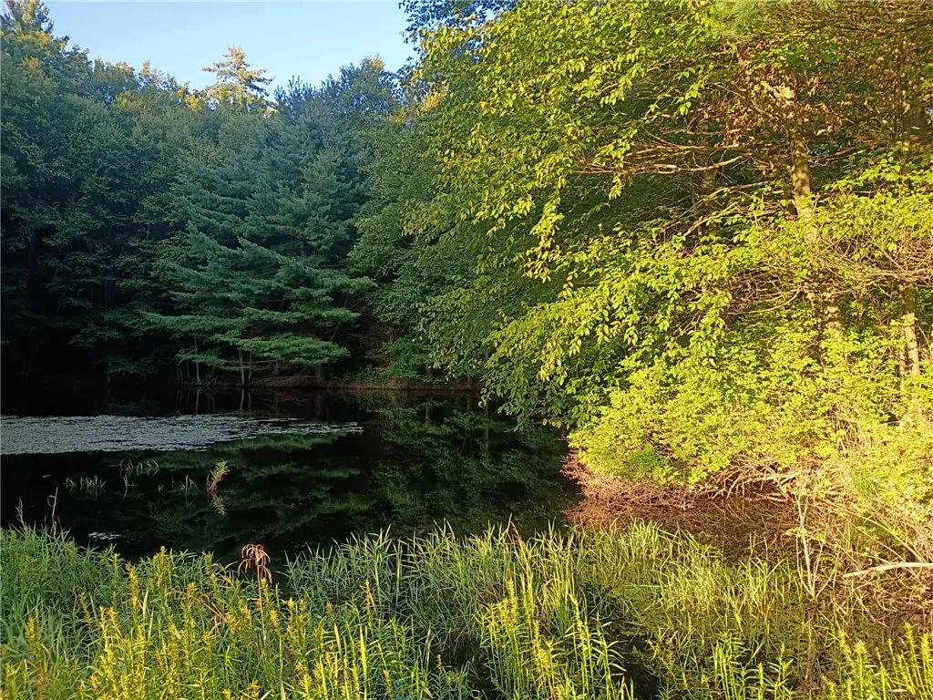 194 Newton Town Road, Bainbridge, New York 13733, Bainbridge, New York 13733, 3 Bedrooms Bedrooms, 8 Rooms Rooms,2 BathroomsBathrooms,Residential,For Sale,194 Newton Town Road, Bainbridge, New York 13733,0,R1649250