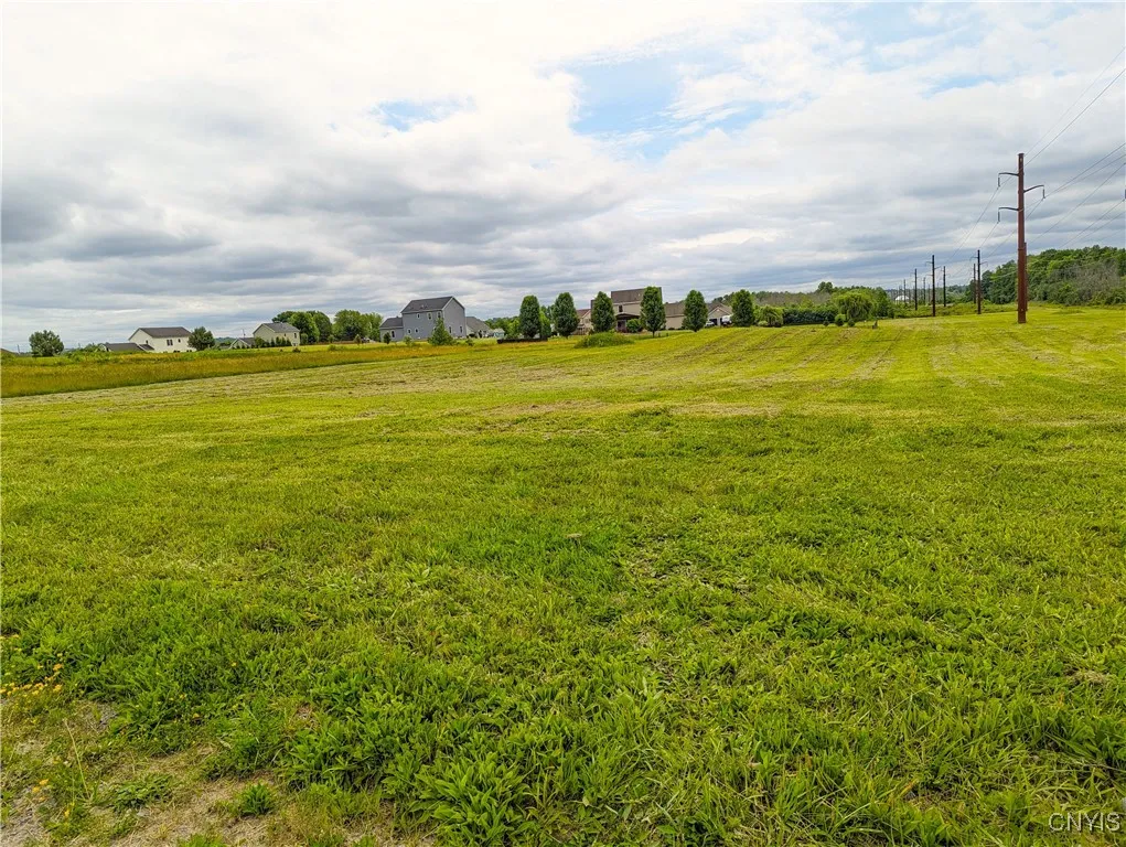 1 Butler Lane Road, Throop, New York 13021, Throop, New York 13021, ,Land,For Sale,1 Butler Lane Road, Throop, New York 13021,0,S1649953