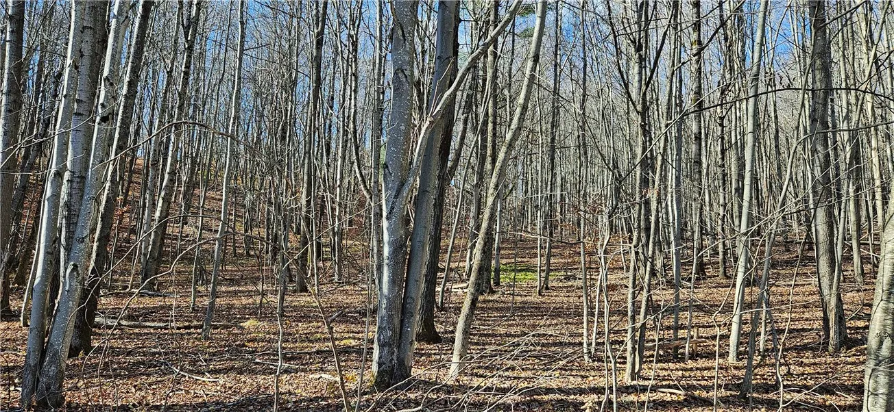 987 Brush Ridge Road, Middletown, New York 12406, Middletown, New York 12406, 2 Bedrooms Bedrooms, 6 Rooms Rooms,1 BathroomBathrooms,Residential,For Sale,987 Brush Ridge Road, Middletown, New York 12406,0,R1649751