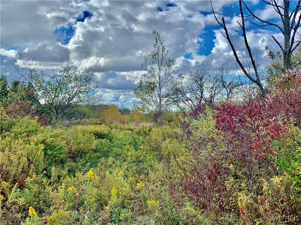 11733 North Road, Freedom, New York 14065, Freedom, New York 14065, 6 Bedrooms Bedrooms, 8 Rooms Rooms,1 BathroomBathrooms,Residential,For Sale,11733 North Road, Freedom, New York 14065,0,B1649960