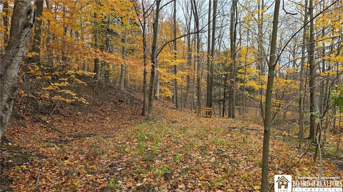 3194 Whitaker Road, Sheridan, New York 14063, Sheridan, New York 14063, 3 Bedrooms Bedrooms, 10 Rooms Rooms,1 BathroomBathrooms,Residential,For Sale,3194 Whitaker Road, Sheridan, New York 14063,0,R1649776