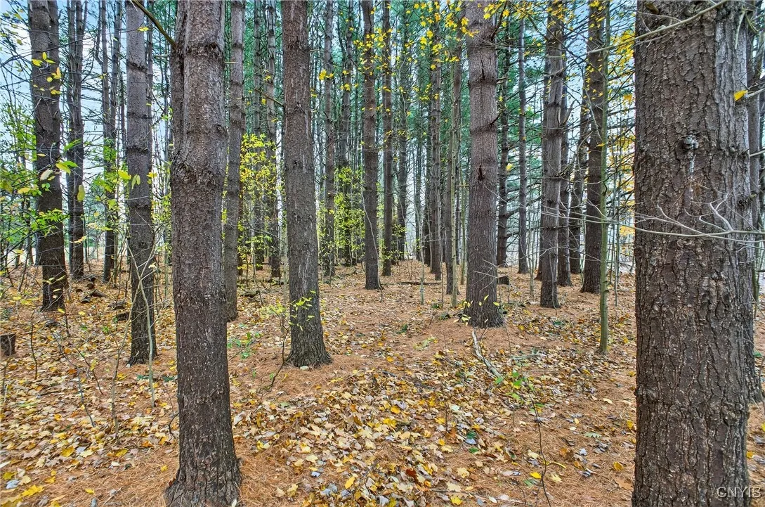 241 Rathburn Road, Granby, New York 13069, Granby, New York 13069, 2 Bedrooms Bedrooms, 7 Rooms Rooms,1 BathroomBathrooms,Residential,For Sale,241 Rathburn Road, Granby, New York 13069,0,S1649878