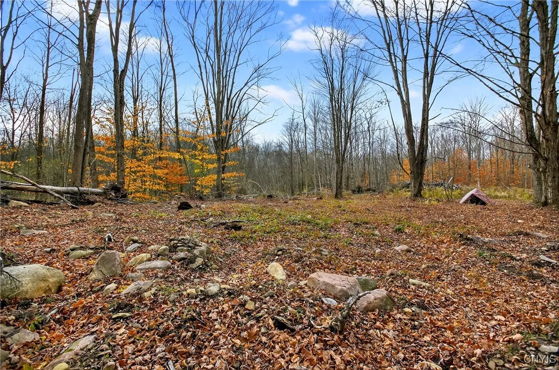 3865 Co Rt 4, Scriba, New York 13126, Scriba, New York 13126, ,Land,For Sale,3865 Co Rt 4, Scriba, New York 13126,0,S1649951