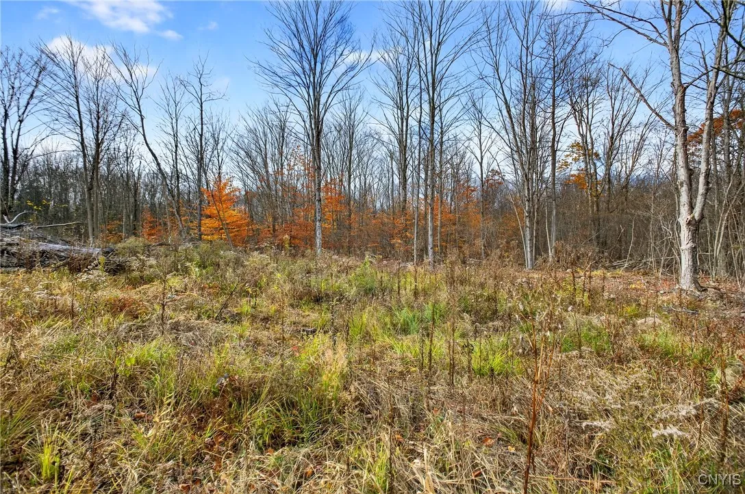 3865 Co Rt 4, Scriba, New York 13126, Scriba, New York 13126, ,Land,For Sale,3865 Co Rt 4, Scriba, New York 13126,0,S1649951