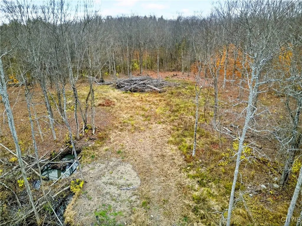 3865 Co Rt 4, Scriba, New York 13126, Scriba, New York 13126, ,Land,For Sale,3865 Co Rt 4, Scriba, New York 13126,0,S1649951