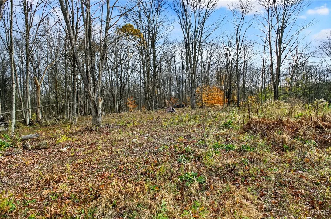 3865 Co Rt 4, Scriba, New York 13126, Scriba, New York 13126, ,Land,For Sale,3865 Co Rt 4, Scriba, New York 13126,0,S1649951