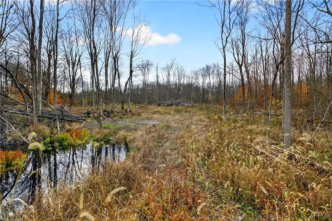 3865 Co Rt 4, Scriba, New York 13126, Scriba, New York 13126, ,Land,For Sale,3865 Co Rt 4, Scriba, New York 13126,0,S1649951