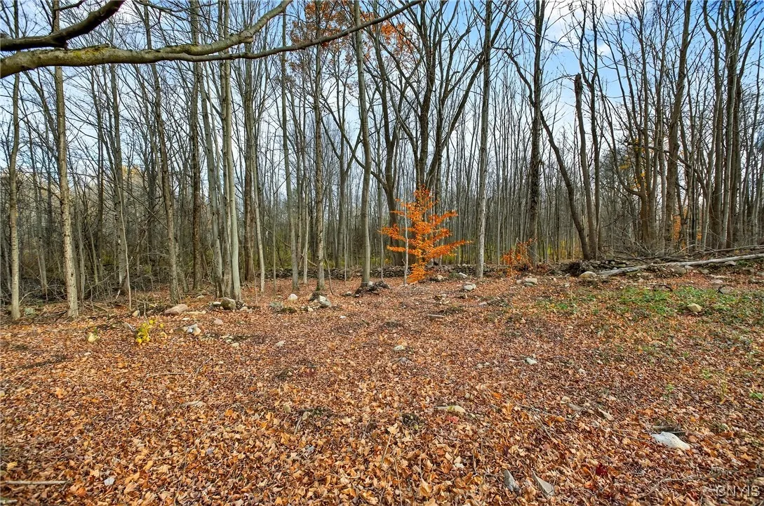 3865 Co Rt 4, Scriba, New York 13126, Scriba, New York 13126, ,Land,For Sale,3865 Co Rt 4, Scriba, New York 13126,0,S1649951