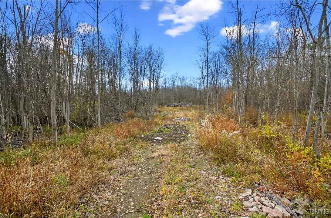 3865 Co Rt 4, Scriba, New York 13126, Scriba, New York 13126, ,Land,For Sale,3865 Co Rt 4, Scriba, New York 13126,0,S1649951
