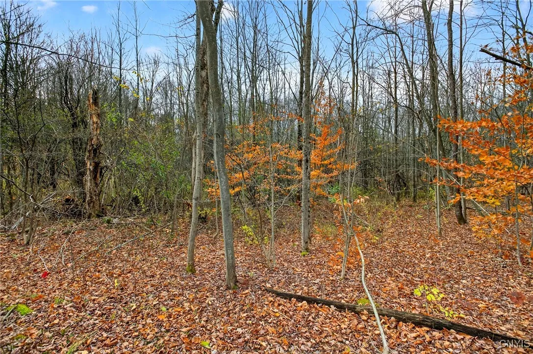 3865 Co Rt 4, Scriba, New York 13126, Scriba, New York 13126, ,Land,For Sale,3865 Co Rt 4, Scriba, New York 13126,0,S1649951