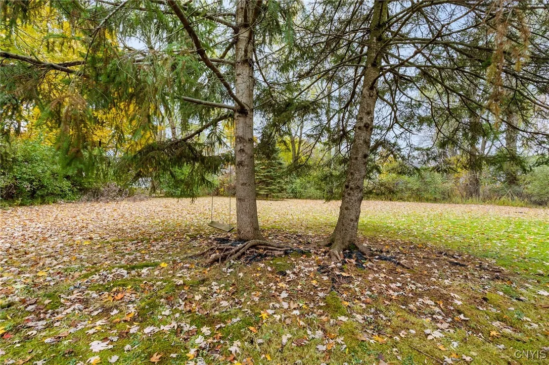 162 Flower Avenue East, Watertown City, New York 1, Watertown City, New York 13601, 4 Bedrooms Bedrooms, 10 Rooms Rooms,1 BathroomBathrooms,Residential,For Sale,162 Flower Avenue East, Watertown City, New York 1,0,S1648395