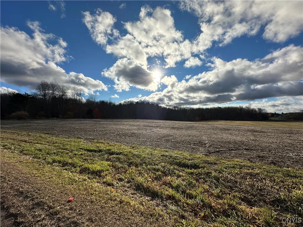 734 County Route 45, Palermo, New York 13036, Palermo, New York 13036, 3 Bedrooms Bedrooms, ,1 BathroomBathrooms,Land,For Sale,734 County Route 45, Palermo, New York 13036,0,S1650003