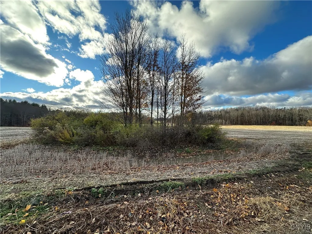 734 County Route 45, Palermo, New York 13036, Palermo, New York 13036, 3 Bedrooms Bedrooms, ,1 BathroomBathrooms,Land,For Sale,734 County Route 45, Palermo, New York 13036,0,S1650003