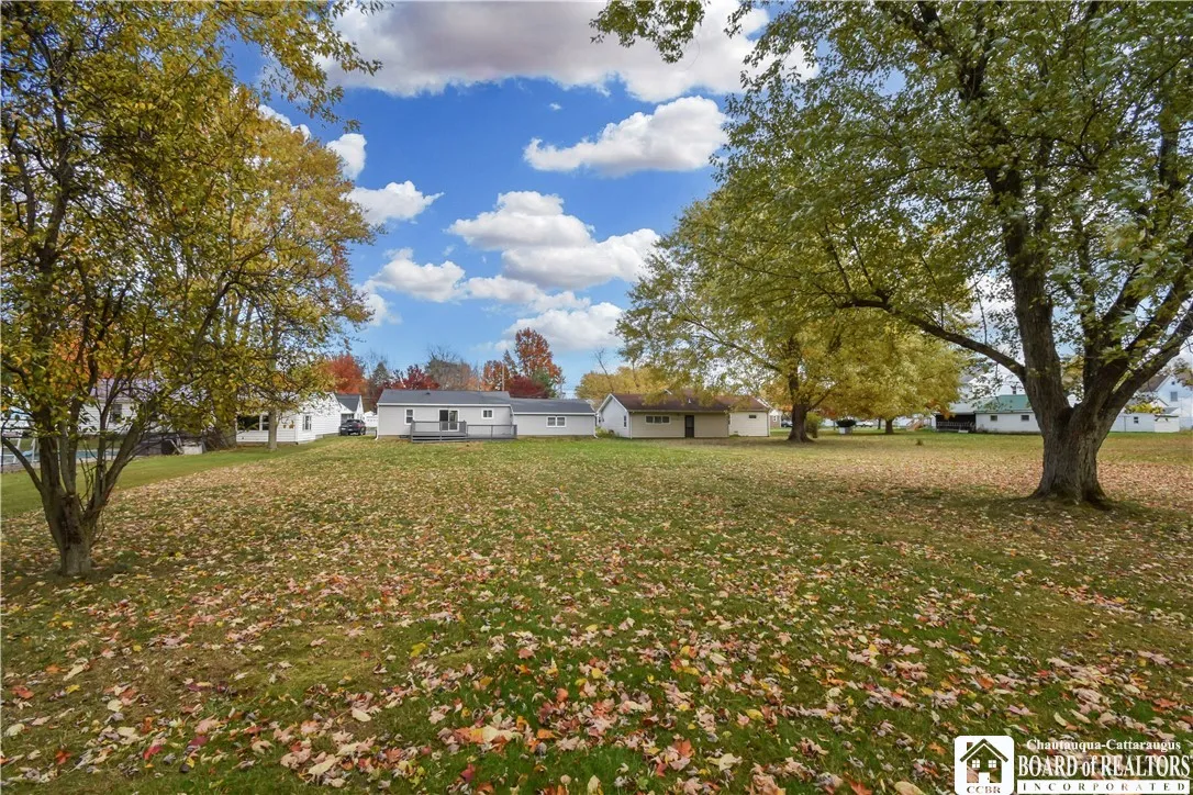 Large, open backyard with plenty of space
