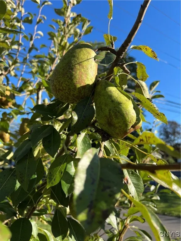 210 Clinton Avenue, Cortland, New York 13045, Cortland, New York 13045, 3 Bedrooms Bedrooms, 5 Rooms Rooms,1 BathroomBathrooms,Residential,For Sale,210 Clinton Avenue, Cortland, New York 13045,0,S1649980