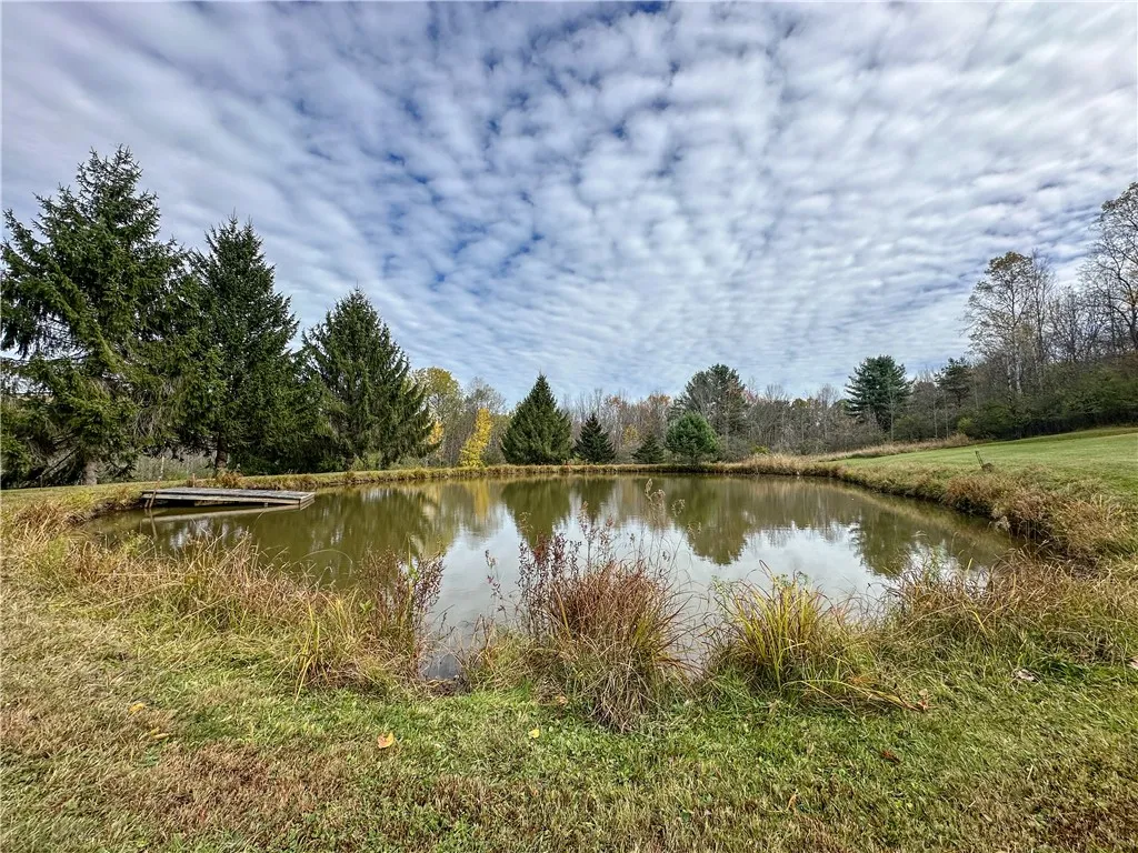 Vl Trapping Brook Road, Wellsville, New York 14895, Wellsville, New York 14895, 2 Bedrooms Bedrooms, ,Land,For Sale,Vl Trapping Brook Road, Wellsville, New York 14895,0,R1650030