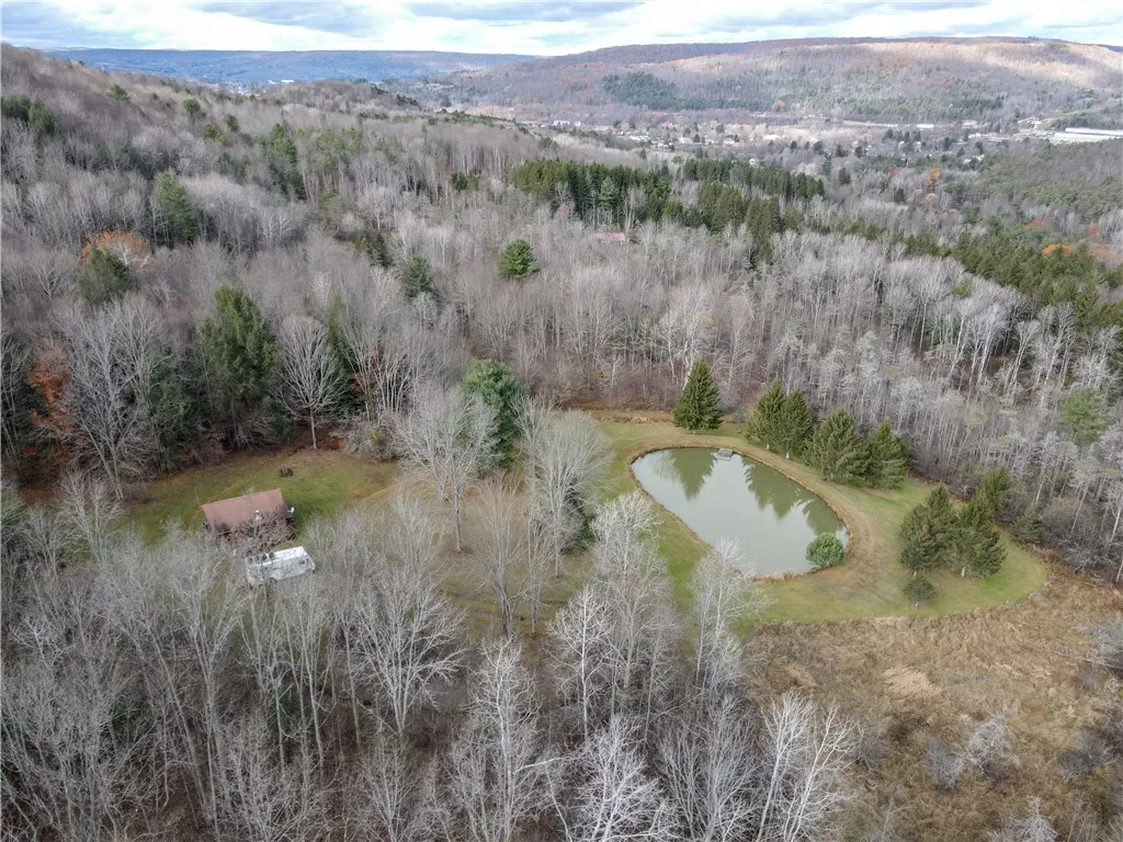 Vl Trapping Brook Road, Wellsville, New York 14895, Wellsville, New York 14895, 2 Bedrooms Bedrooms, ,Land,For Sale,Vl Trapping Brook Road, Wellsville, New York 14895,0,R1650030