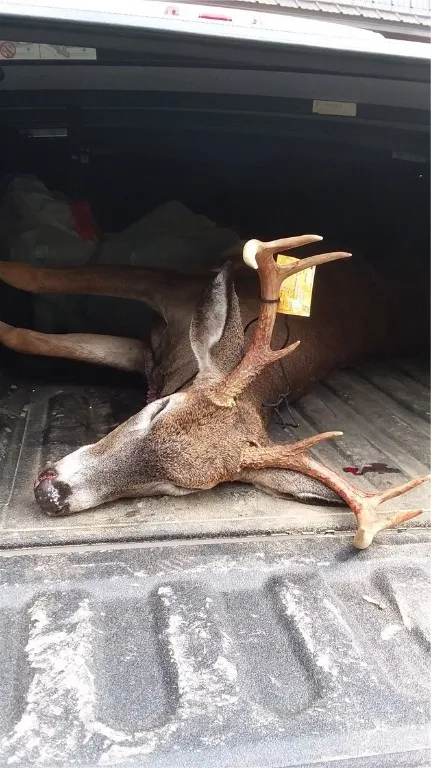 Vl Trapping Brook Road, Wellsville, New York 14895, Wellsville, New York 14895, 2 Bedrooms Bedrooms, ,Land,For Sale,Vl Trapping Brook Road, Wellsville, New York 14895,0,R1650030