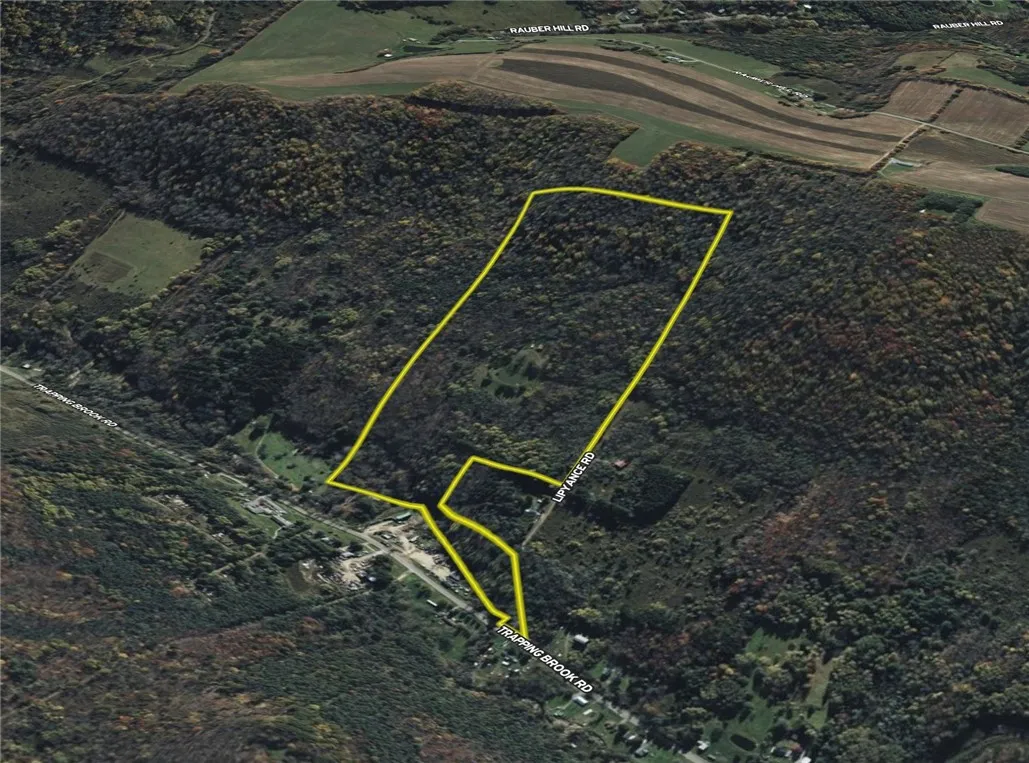 Vl Trapping Brook Road, Wellsville, New York 14895, Wellsville, New York 14895, 2 Bedrooms Bedrooms, ,Land,For Sale,Vl Trapping Brook Road, Wellsville, New York 14895,0,R1650030
