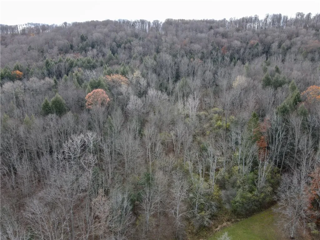 Vl Trapping Brook Road, Wellsville, New York 14895, Wellsville, New York 14895, 2 Bedrooms Bedrooms, ,Land,For Sale,Vl Trapping Brook Road, Wellsville, New York 14895,0,R1650030